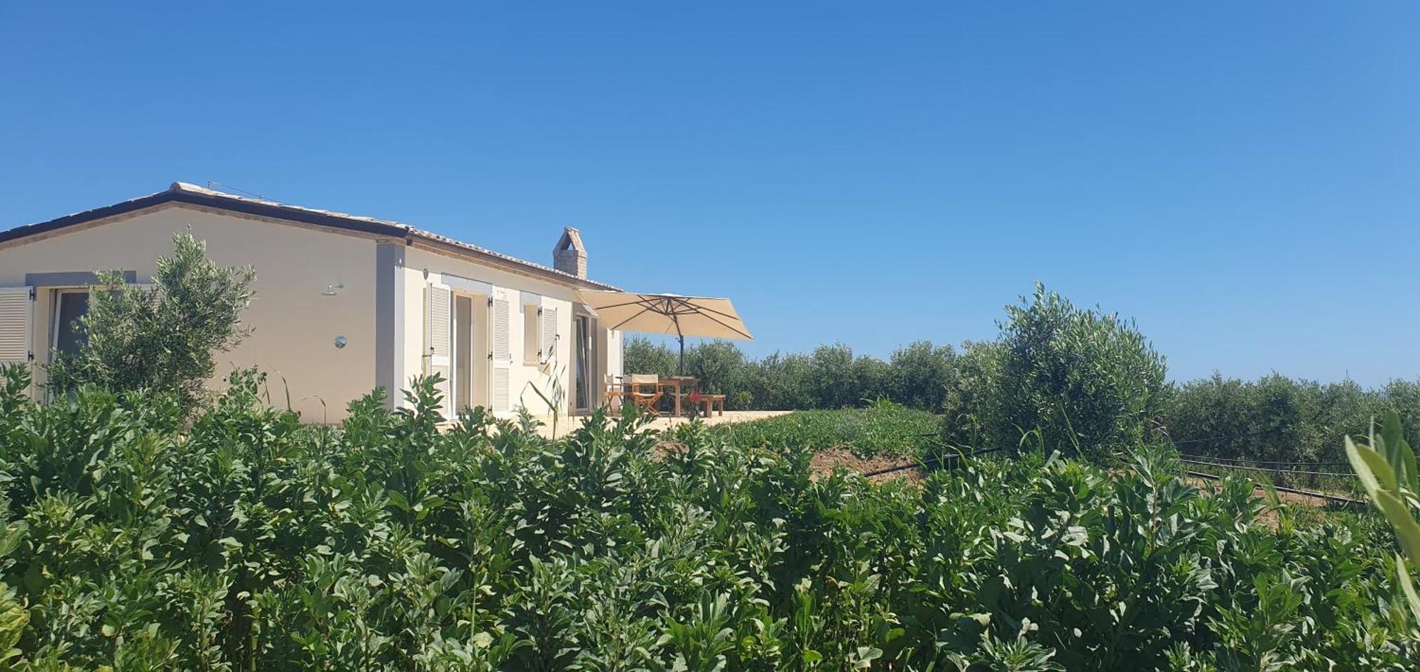 Agriturismo Mondomini Campofilone Esterno foto