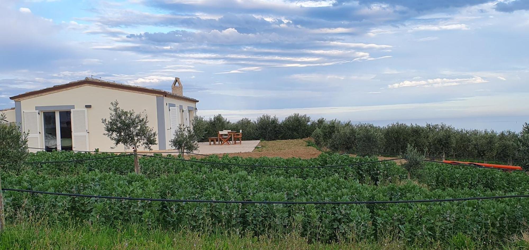 Agriturismo Mondomini Campofilone Esterno foto